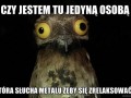 Czy jestem tu jedyną osobą
