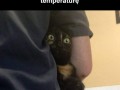 Zmierzymy ci temperaturkę