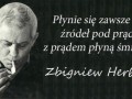 Płynie się zawsze do źródeł pod prąd