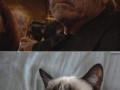 Grumpy tomy lee jones