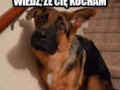 Cos sie stalo