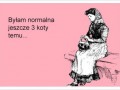 3 Koty temu
