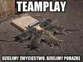 Teamplay