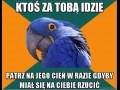 Znacie to