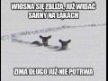 Wiosna idzie