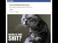 Facebook dafuq