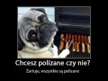 Piesku 3