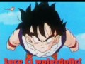 Son gohan