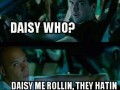 Znasz daisy