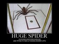 Huge spider