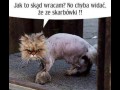 Nie widać