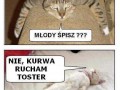 Nie śpię rucham toster