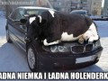Niemka i holenderka