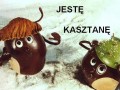 Kasztanę