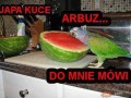 Arbuz 1