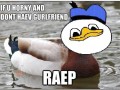 Dolan duk