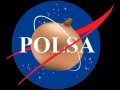 Polsa