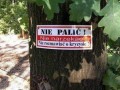 Nie narzekać