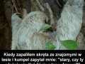Paliliśmy w lesie