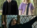 Harra potter