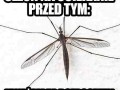 Bzzzzzz