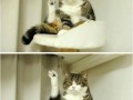 Look at it