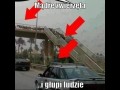 Zwierzęta mądrzejsze