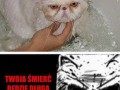 Twoja śmierć będzie długa