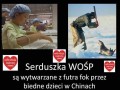 Drastyczna prawda o wosp