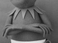 Kermit clein