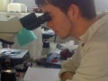 Spanei na biologii