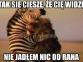 Jak dobrze cię widzieć