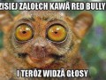 I słyszę obrazy