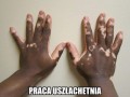 Praca uszlachetnia