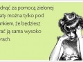 Zielona herbata