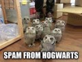 Spa z hogwartu