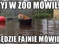 Zoo