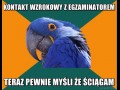 Kontakt wzrokowy z egzaminatorem