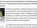 Nie rób nikomu dobrze to nikt tobie źle nie zrobi