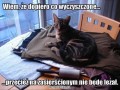 Upraene