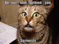 Donotlook