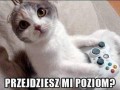 Przejdziesz mi poziom
