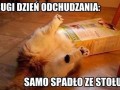 Drugi dzień odchudzania