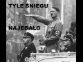 Tylesniegunajebalo