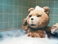 Ted 1