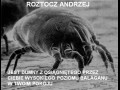 Roztocz