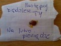 Nastepny bedziesz ty