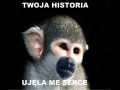 Twoja historia