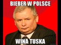Bieber w polsce