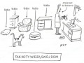 Tak koty widzą swój dom